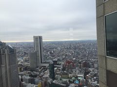 -东京都厅舍