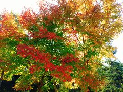 -长春世界雕塑园冰雪艺术天地