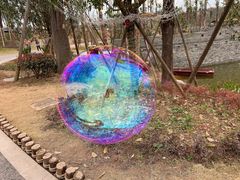 -枫香湖儿童公园