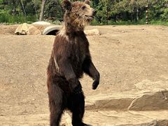 -沈阳森林动物园