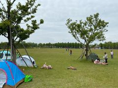 -春花秋色城市公园