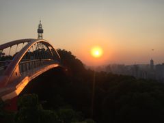 -金鸡山公园