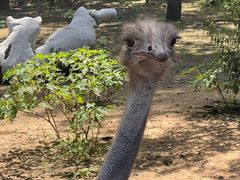 -大连森林动物园