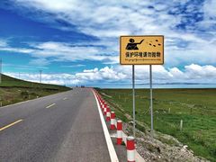 -青海湖国家重点风景名胜区