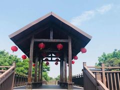 -海上田园