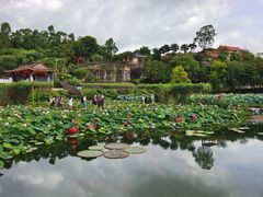 -广州莲花山旅游区