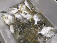 -济南海鲜大市场