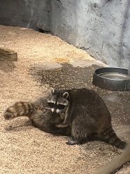 -Zoolung Zoolung动物主题公园(海信广场店)