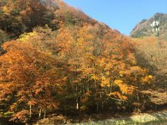 -光雾山旅游景区