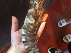-灯笼馆海鲜餐厅
