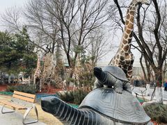 -太原动物园