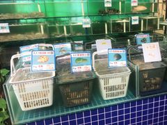 水产区-琼大师东方烤乳猪(亚特兰蒂斯店)
