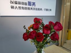 点击看大图 -OM瑜伽教练培训学院