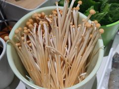 -曲氏老北京铜锅涮肉•火锅(不老街店)