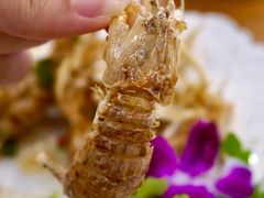 -友强·23年特色海鲜大排档(厦门店)