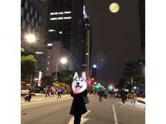 -台北101