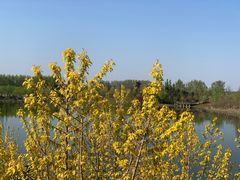 -东郊湿地公园