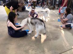 -TrueLove @ Neverland (Husky Cafe)
