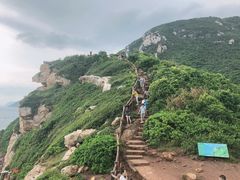 -杨梅坑