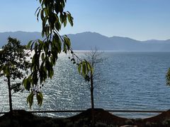 -湖景渔湾