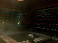 -中家鑫园温泉酒店鑫悦汤泉