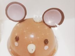 -蒲公英(五里店)