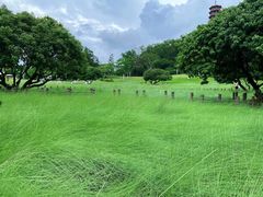 -红花山公园