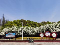 -宜兴龙背山森林公园