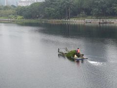 -南宁南湖公园