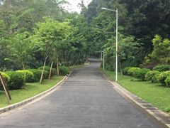 -火炉山森林公园
