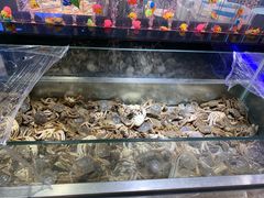 -欢乐牧场海鲜烤肉自助(牡丹园店)