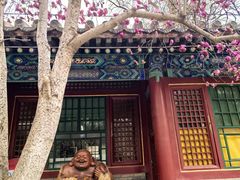 -潭柘寺景区