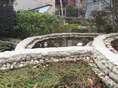 -活水公园