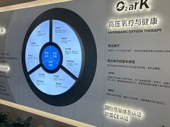 -O2ark智能微高压氧舱(天津旗舰店)