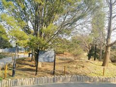 -北京植物园南门售票处