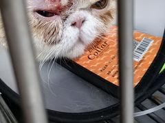 -畜牧兽医站(共江路店)