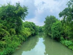 -西溪国家湿地公园