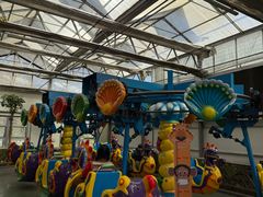 -南宫五洲植物乐园