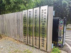 -都江堰中华大熊猫苑