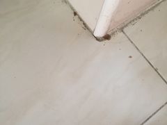 -北京美家洁开荒保洁清洗公司