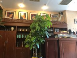 -TWOFACE双面理发馆