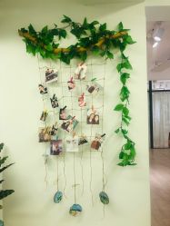 -杨丹国际美学肌研所