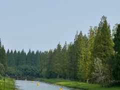 -黄海国家森林公园