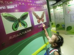 -上海昆虫博物馆