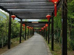 -九龙潭景区