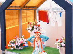 -荷兰花海