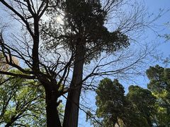 -少华山国家森林公园