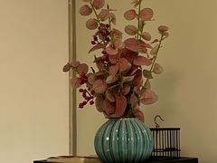 -梧桐人家中国太平国际健康颐养社区