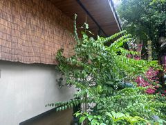 -王捌小院(红花坡店)