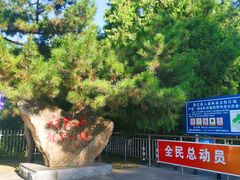 -府君山公园